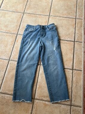 1822 Denim Light Ankle Blue Distressed Straight-Leg Jeans 8